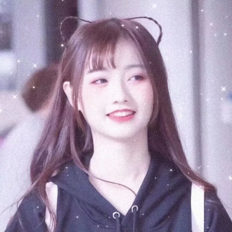 最后的骑士